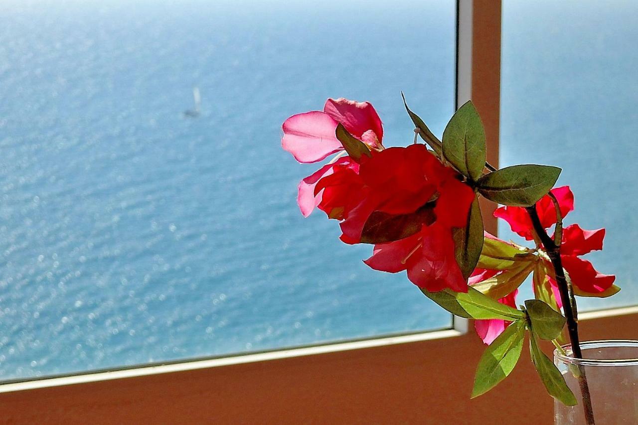Apartamento Playa Cantara Аликанте Екстериор снимка